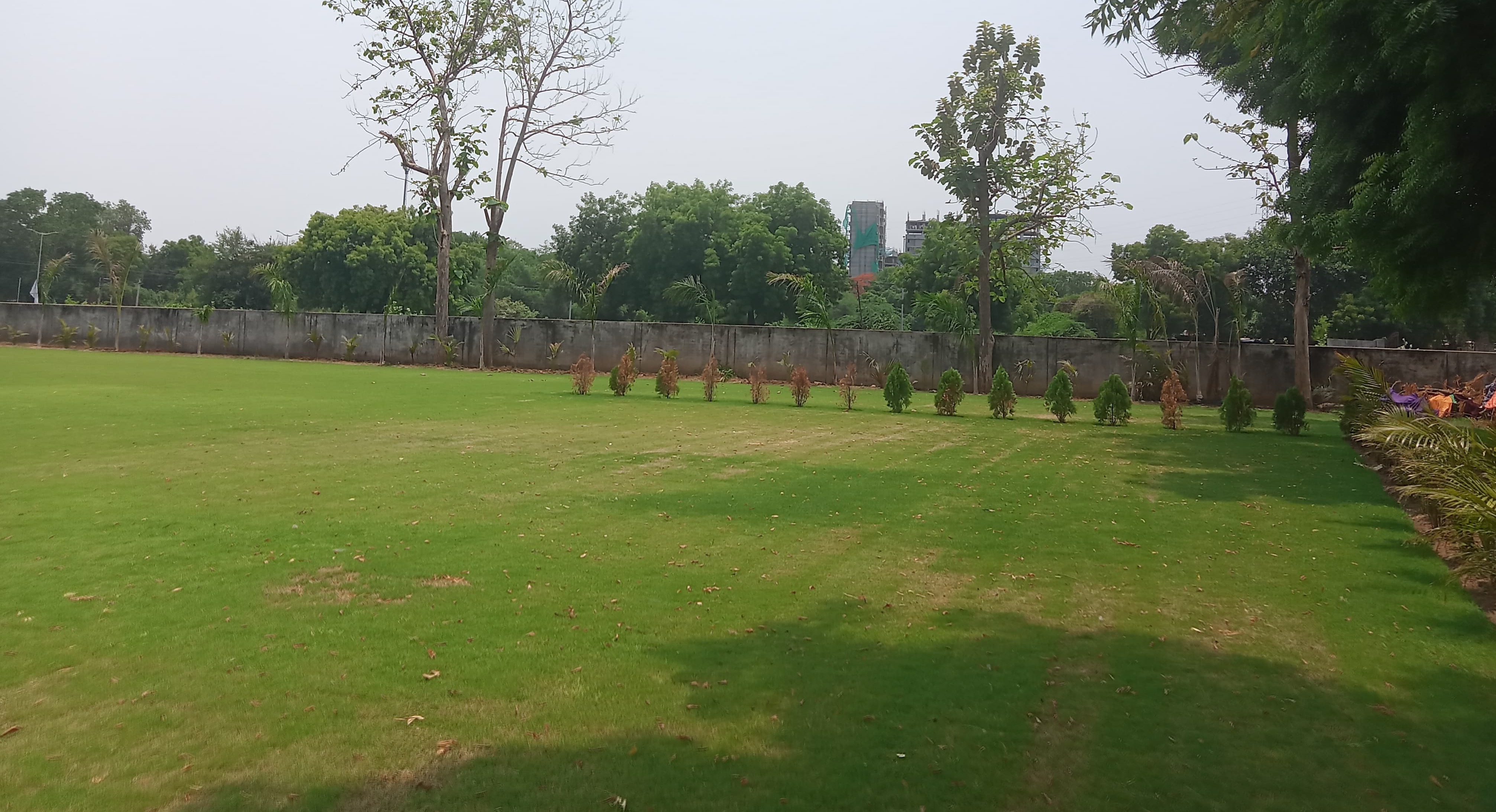 AARUSH LAWN